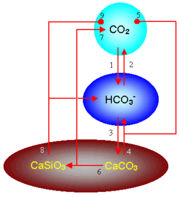 Circulación geoquímica del carbono